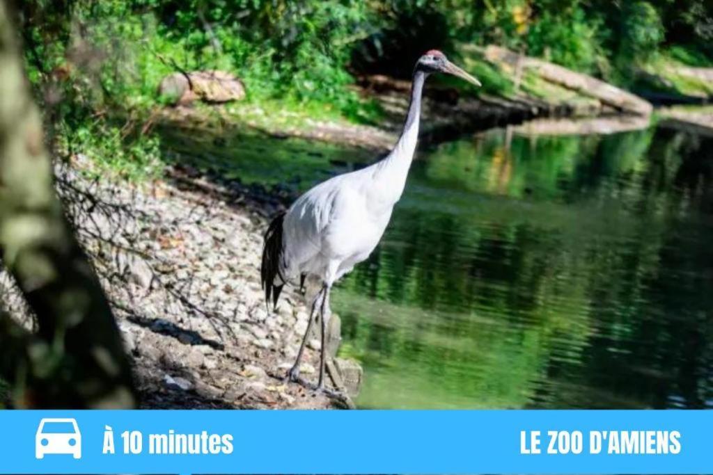 Grand Studio Amiens Gare Tout Confort Wifi Netflix 2Pers Экстерьер фото